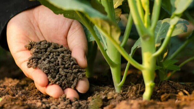 Fertilizantes
