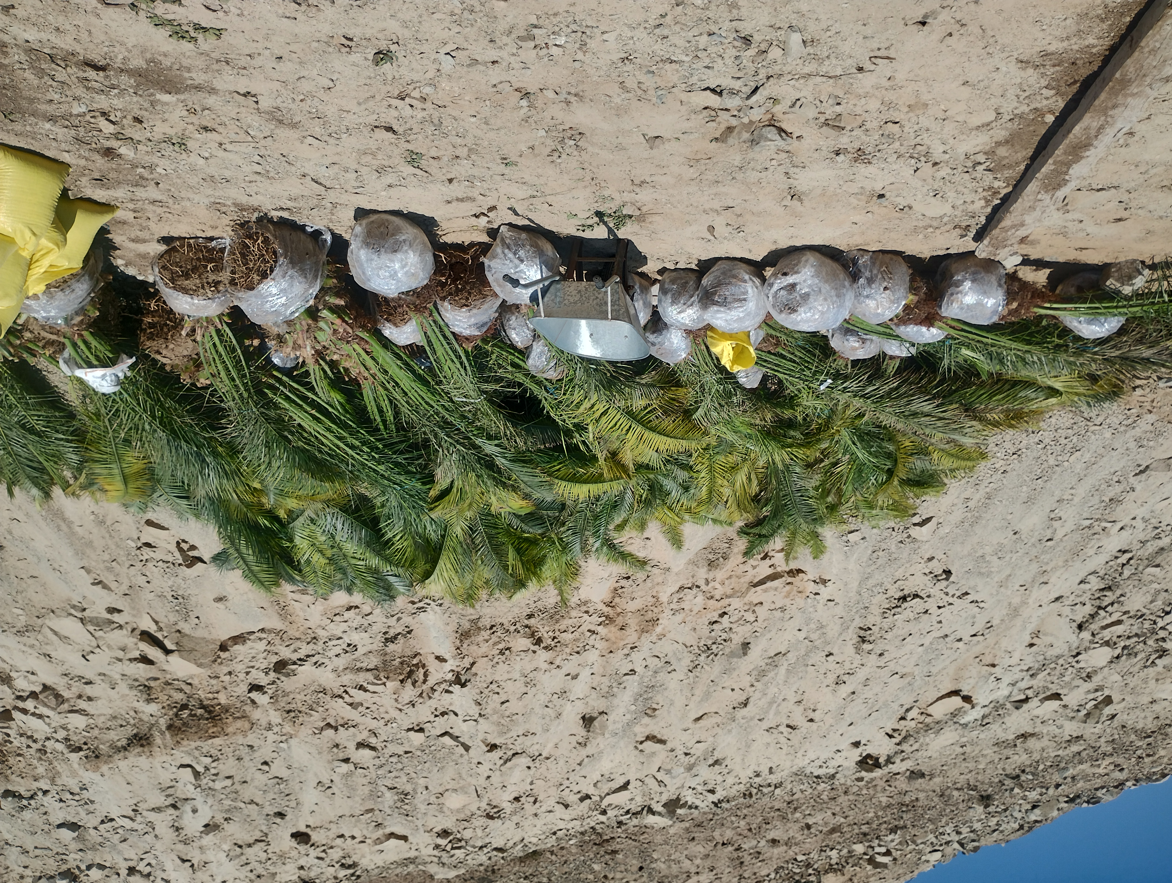 PLANTAS INTERIORES